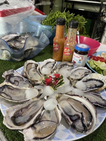 หอยนางรม มาวินซีฟู้ดส์